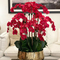 Rote Phalaenopsis-Orchidee in einem mittelgroßen Goldtopf