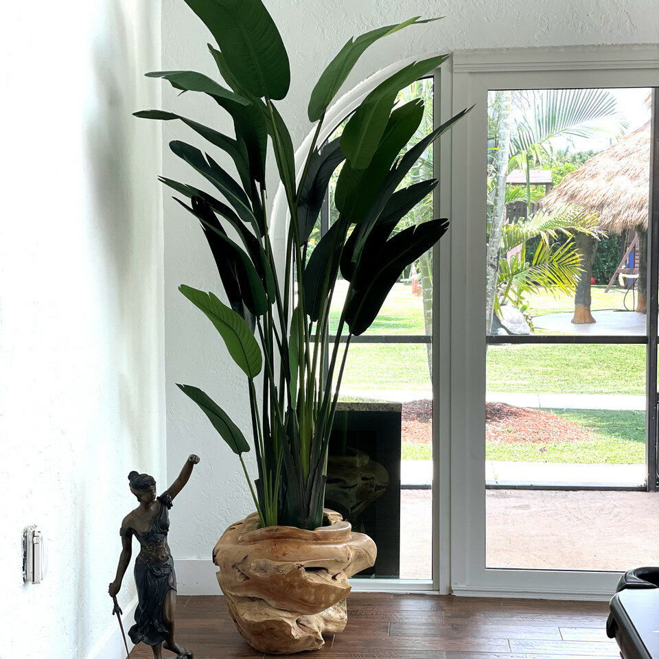 Große Blumenvase aus Teakholz mit prächtiger Strelitzie (Paradiesvogelblume)