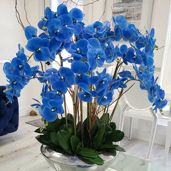 Avenue-Schale mit blauen Phalaenopsis-Orchidee