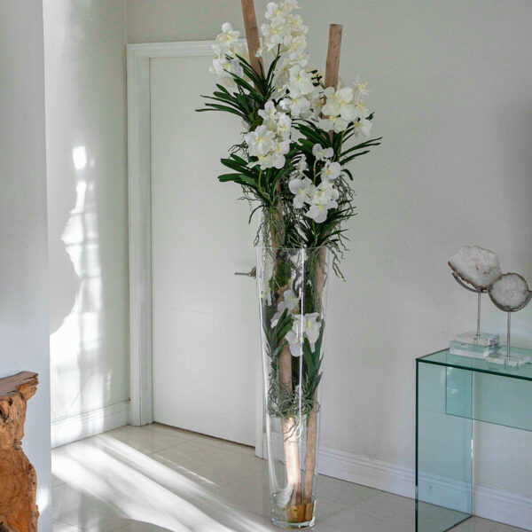 Weiße Vanda-Orchidee mit Treibholz in einem großen konischen Glaszylinder