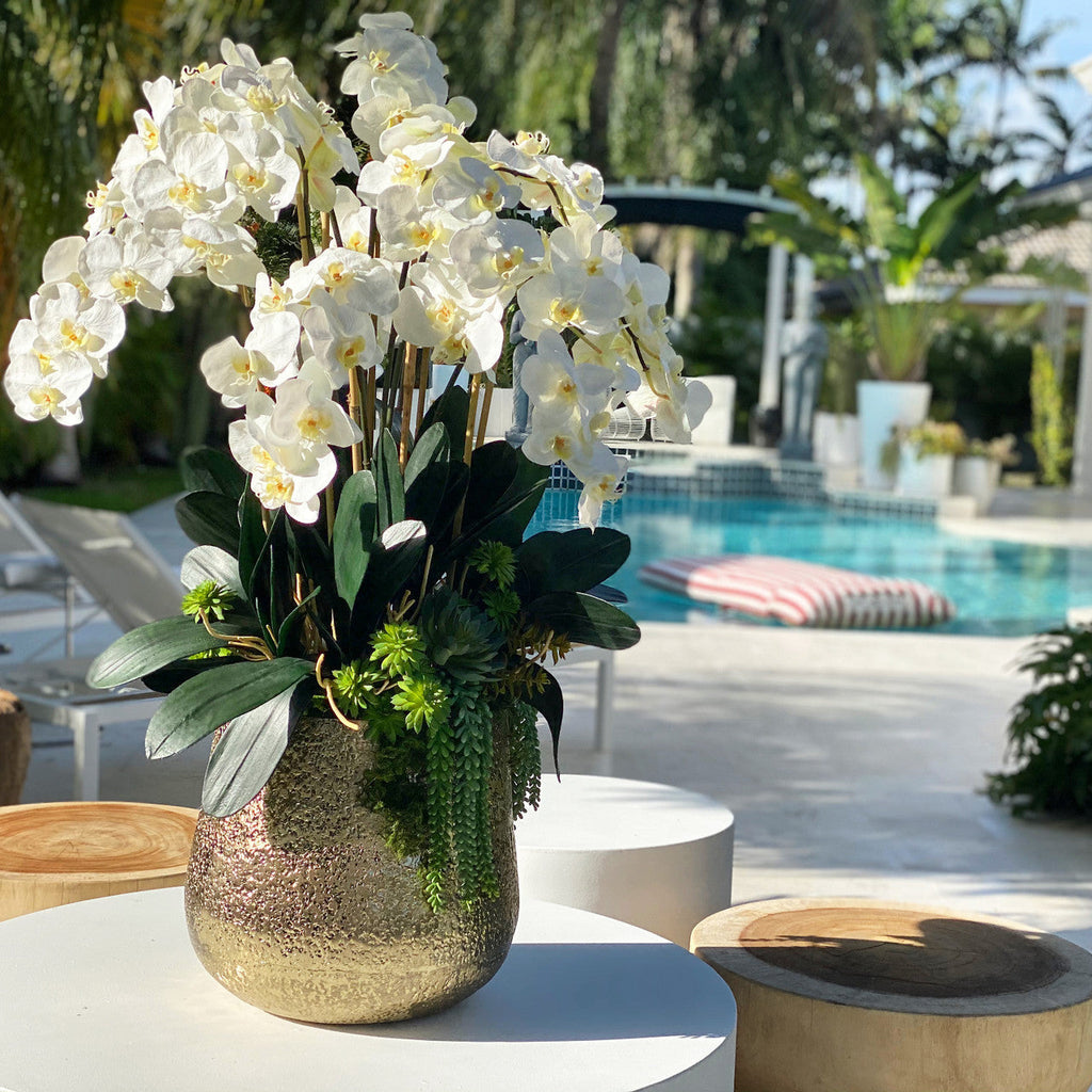 Delaney-Blumenvase in Gold mit mehreren Phalaenopsis-Orchideenstängeln und Sukkulenten