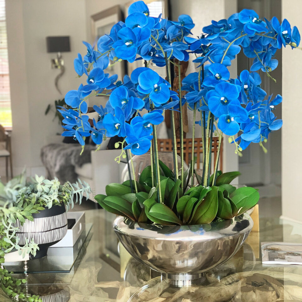 Avenue-Schale mit blauen Phalaenopsis-Orchidee