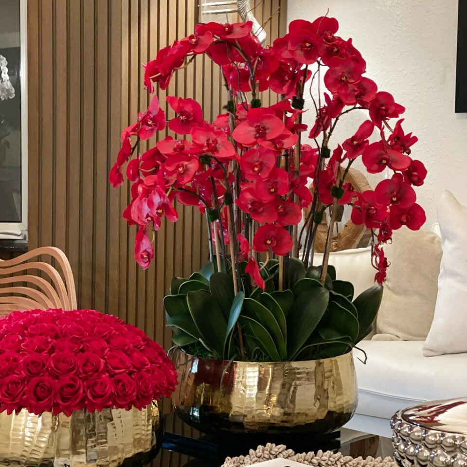 Rote Phalaenopsis-Orchidee in einem mittelgroßen Goldtopf