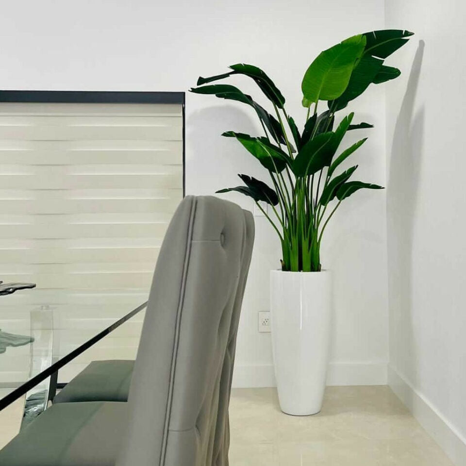 2,1 m Paradiesvogelblume mit Dax L Topf