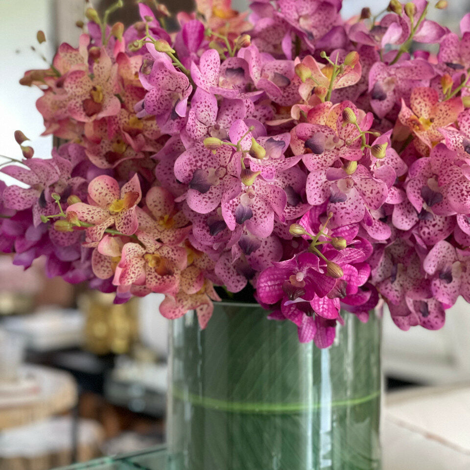 Gemischte Mokara-Orchidee in großem Rota-Zylinder