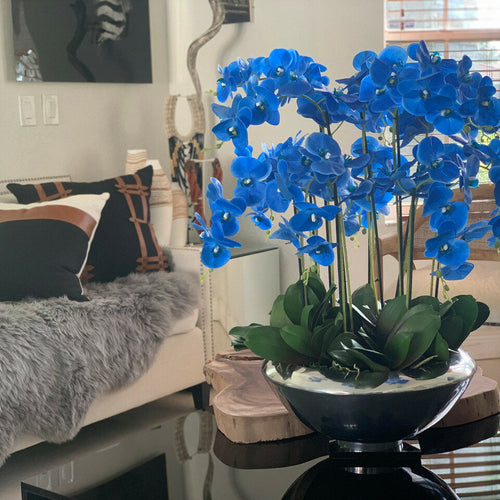 Avenue-Schale mit blauen Phalaenopsis-Orchidee