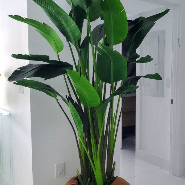 Große Blumenvase aus Teakholz mit prächtiger Strelitzie (Paradiesvogelblume)