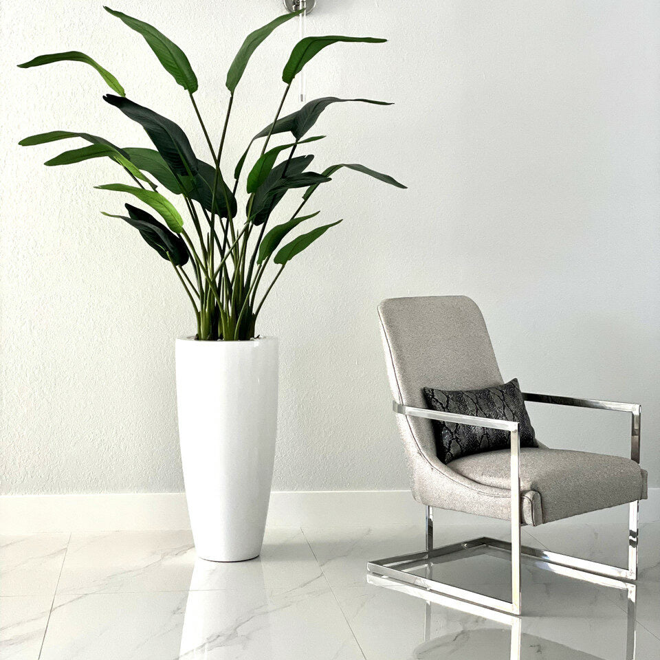 2,1 m Paradiesvogelblume mit Dax L Topf