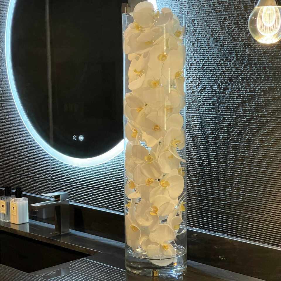 Glaszylinder mit weißen Phalaenopsis-Orchidee