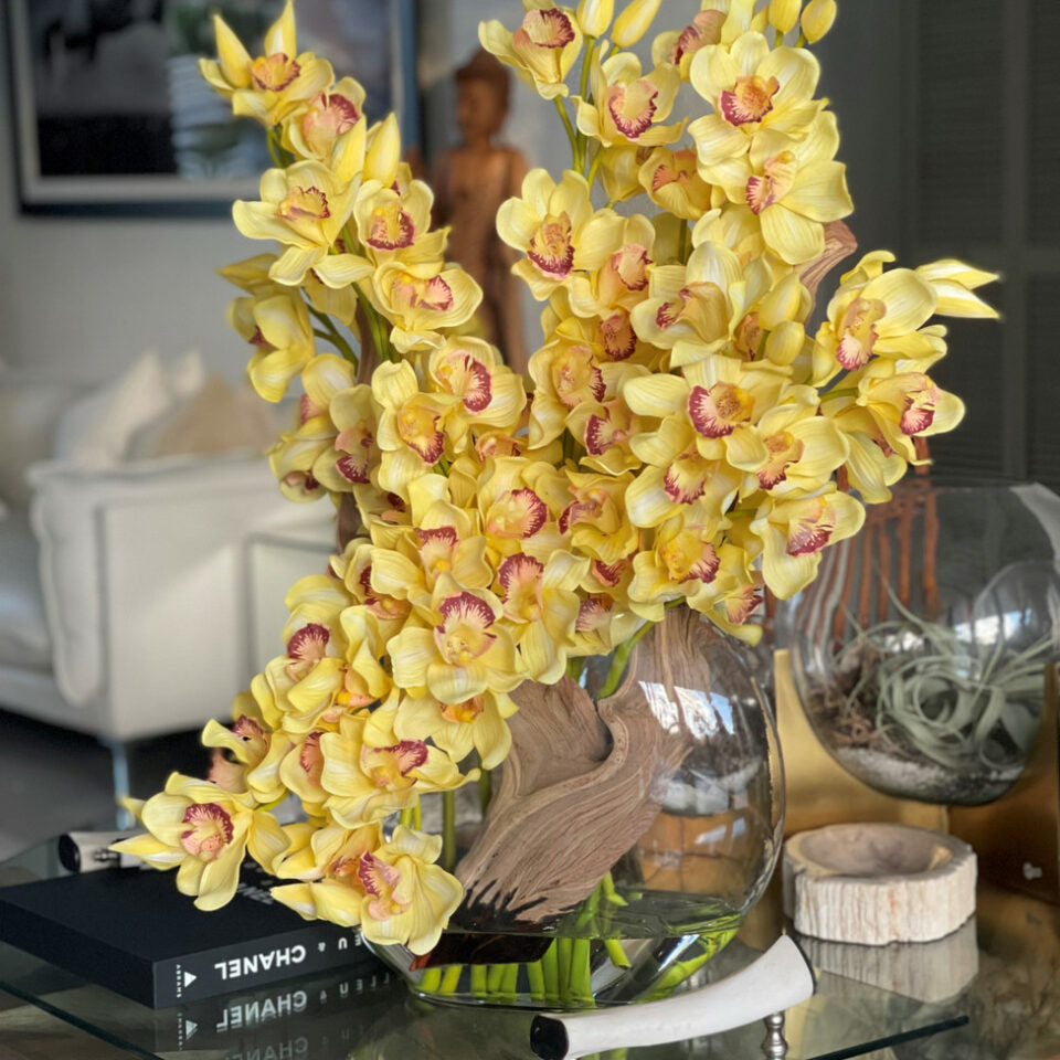 Gelbe Cymbidium-Orchidee in Mondvase