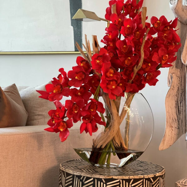 Rote Cymbidium-Orchidee im Mond-Pflanzgefäß