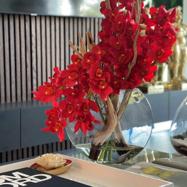 Rote Cymbidium-Orchidee im Mond-Pflanzgefäß