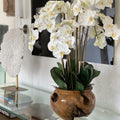 Große Schale aus Teakholz mit weißen Orchidee